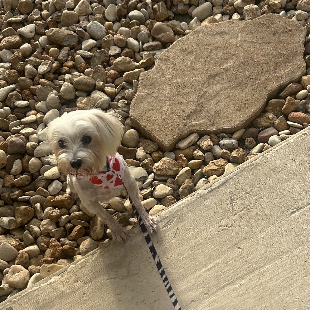 Cami Elizabeth (Austin)