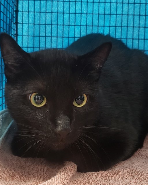 LUNA