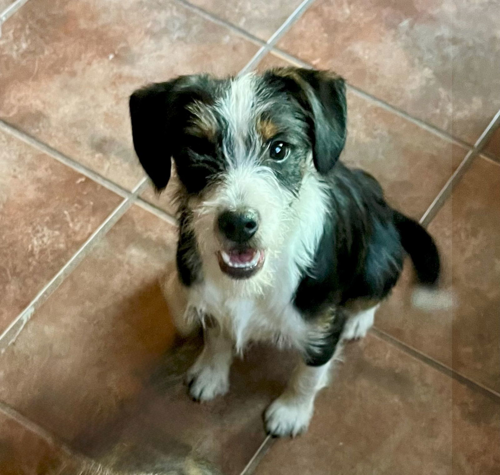 Sebastian