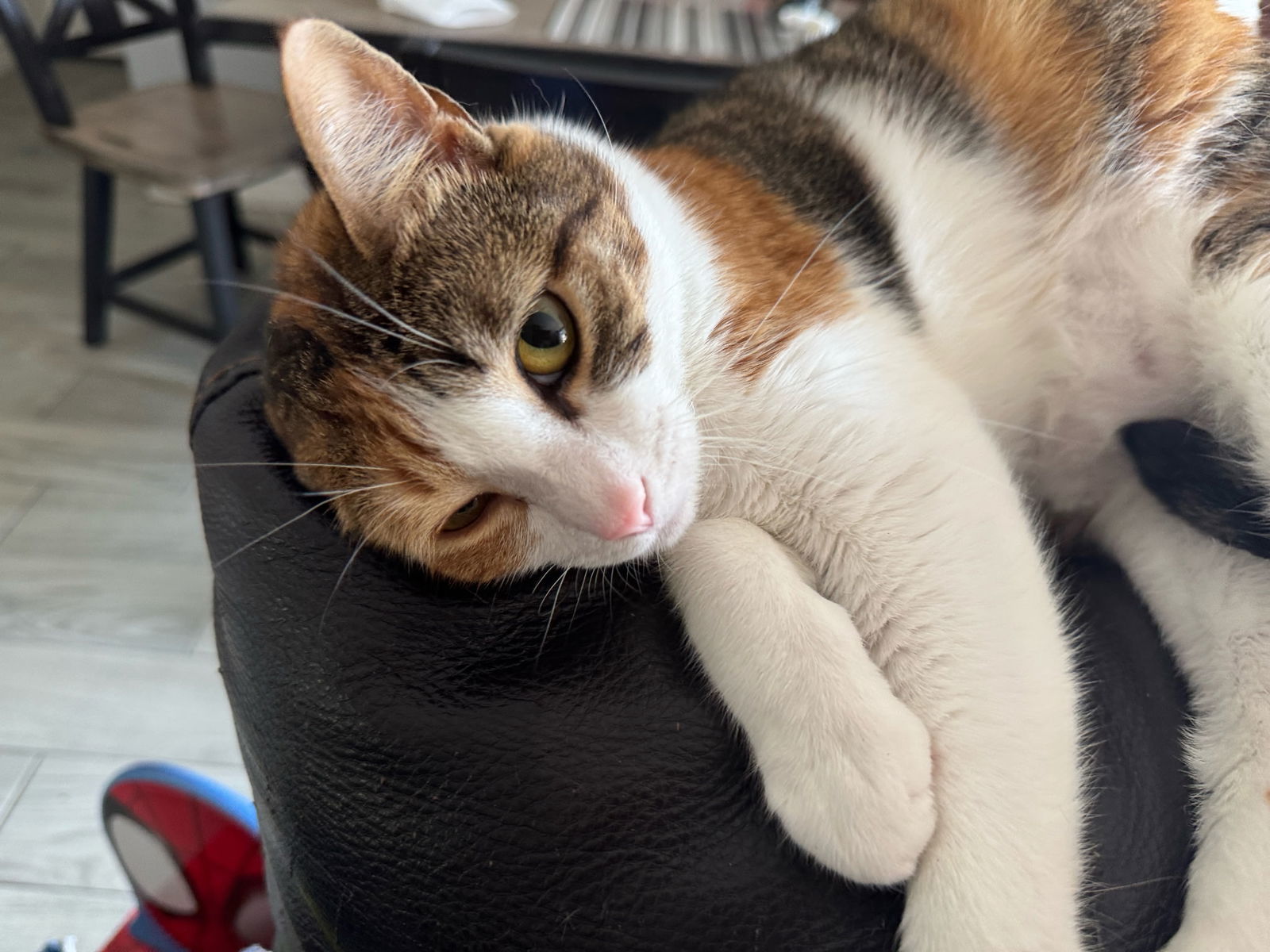 Lily