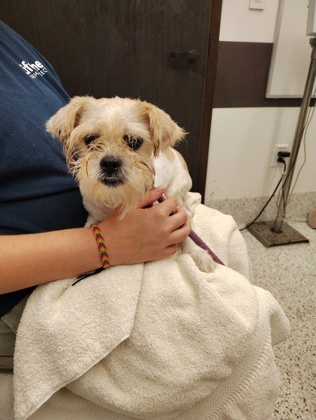 Sammy Rae- ADOPTED