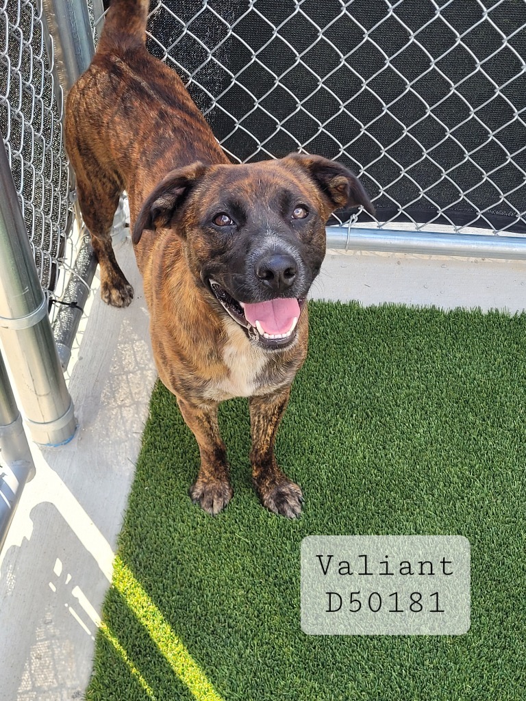 Valiant