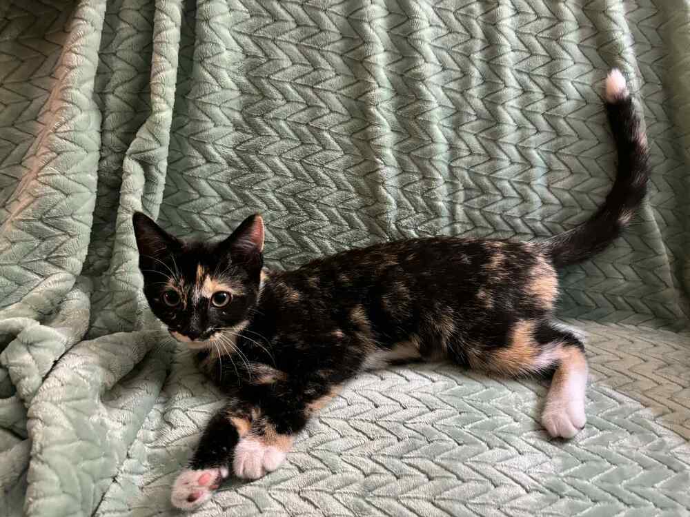 Claudine-bonded with Anette