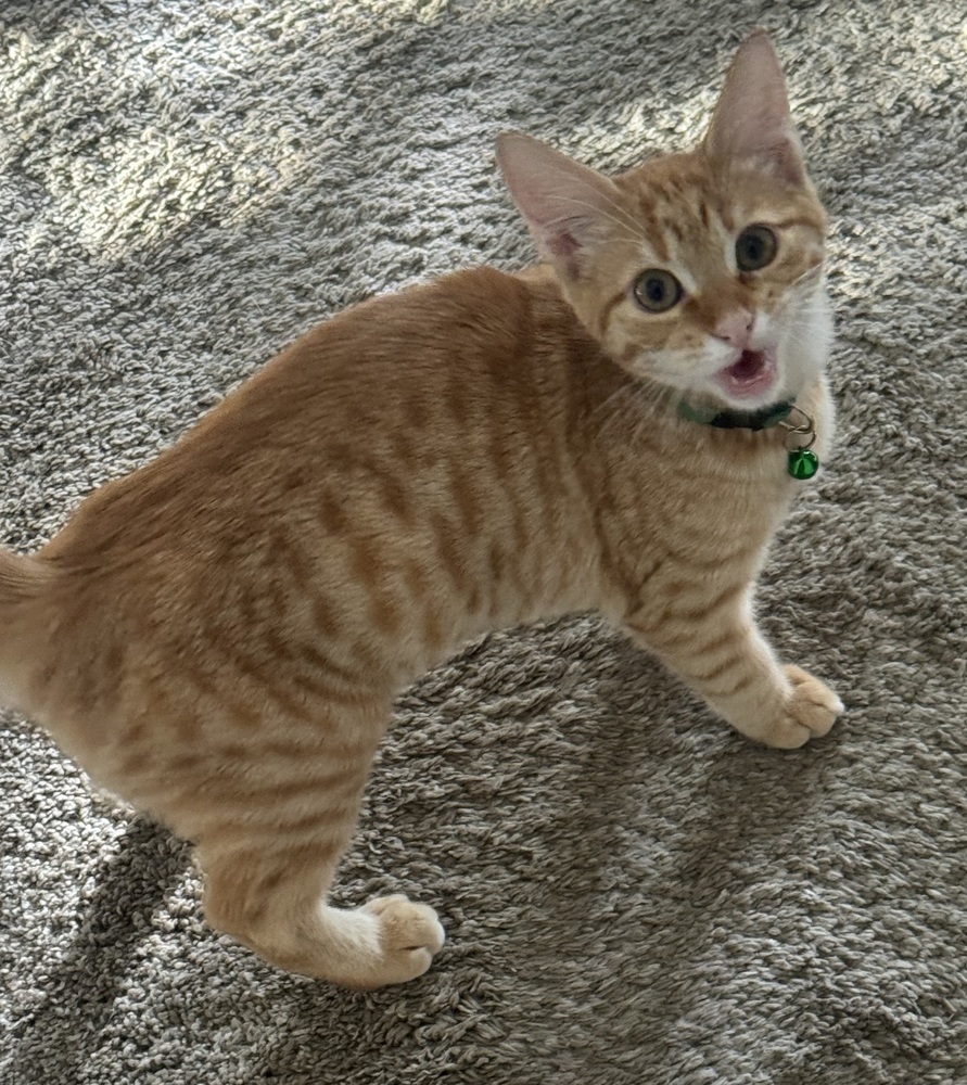 ZULIUS