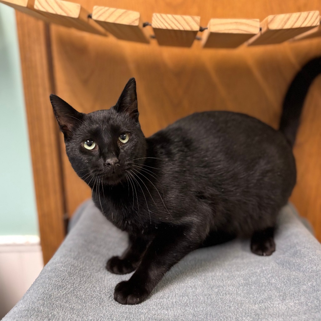 Tedward***ADOPTION PENDING***