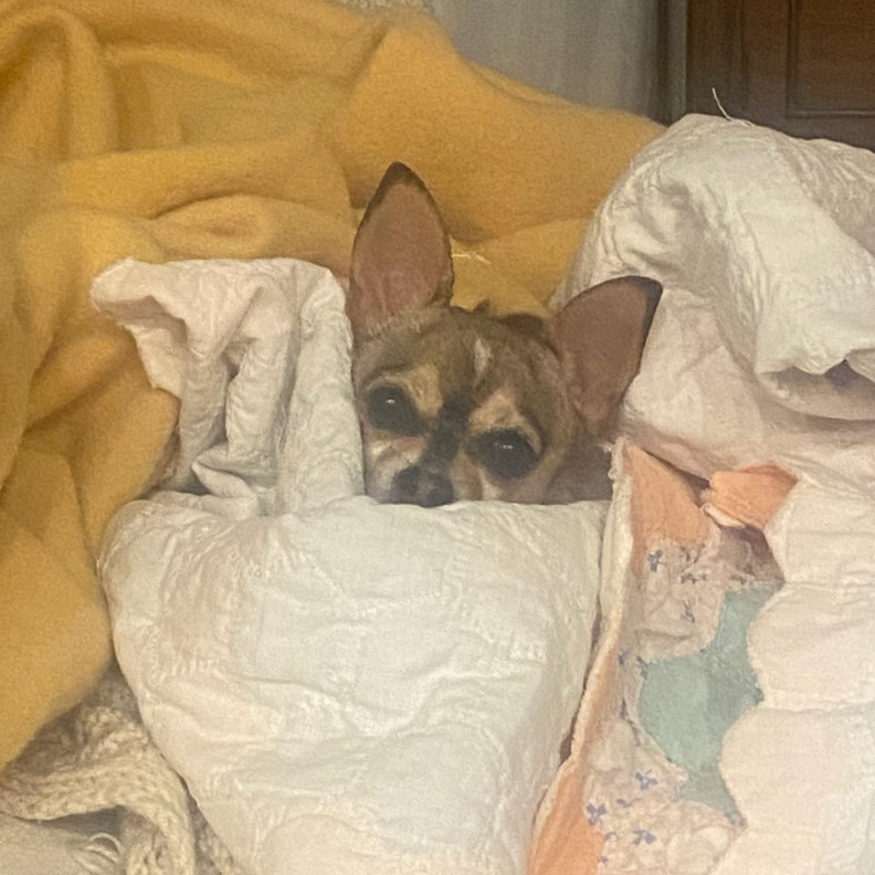 Pip
