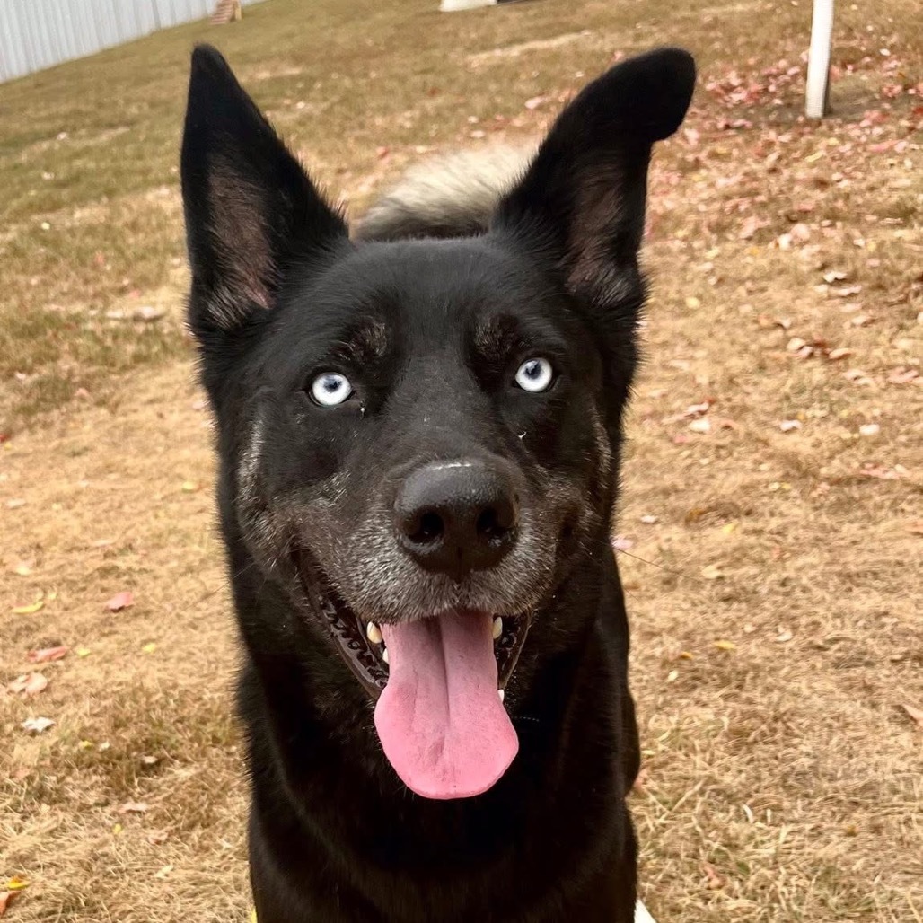 Blue Eye Samurai
