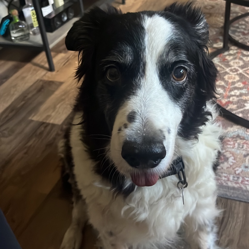 Buddy Luke