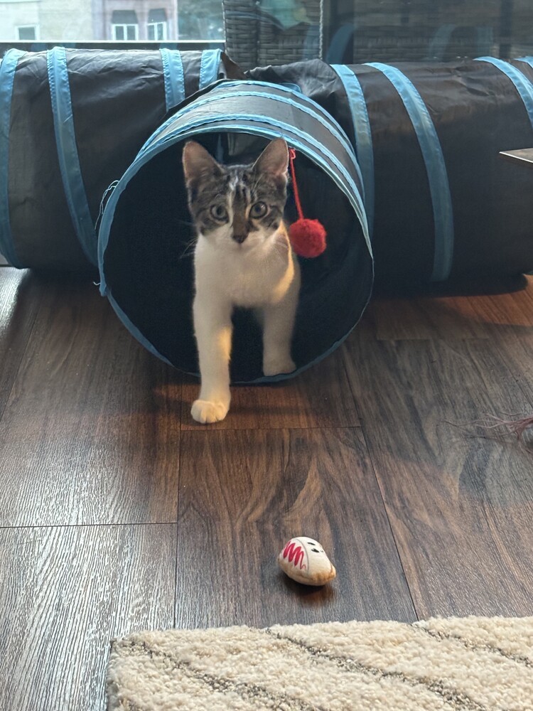 Sammy