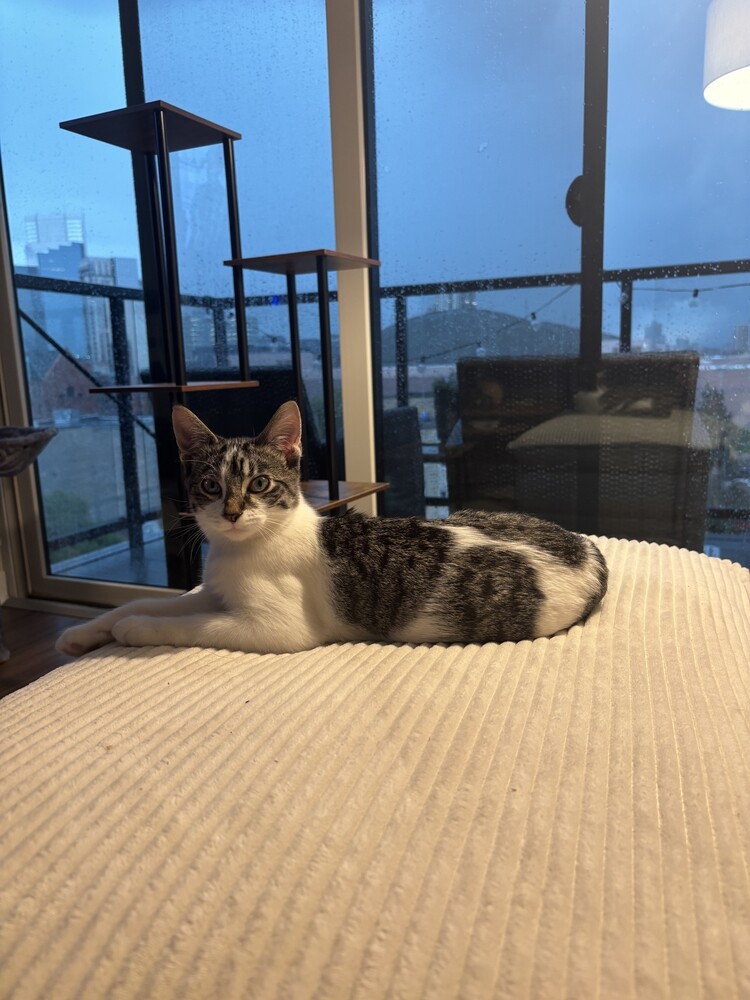 Sammy