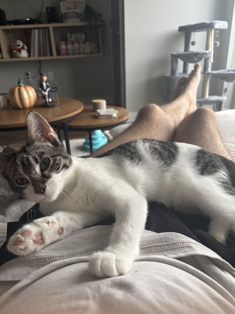 Sammy