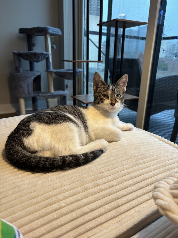 Sammy