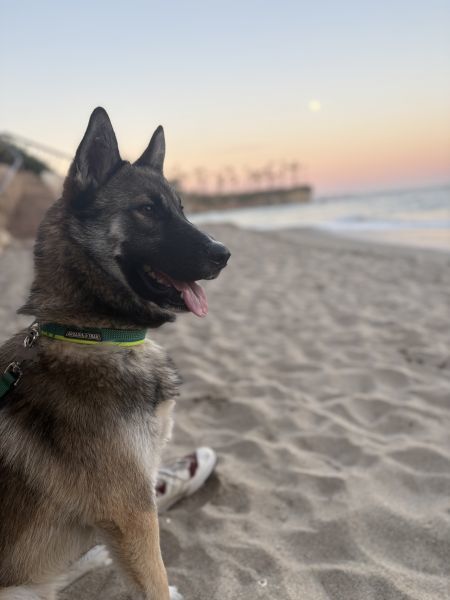 Cooper