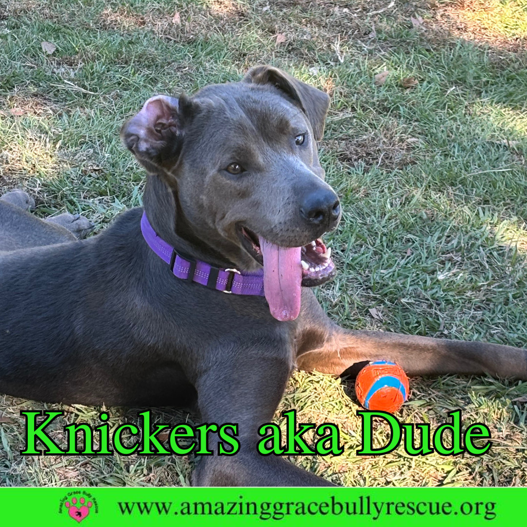 Knickers aka Dude aka "Henry"