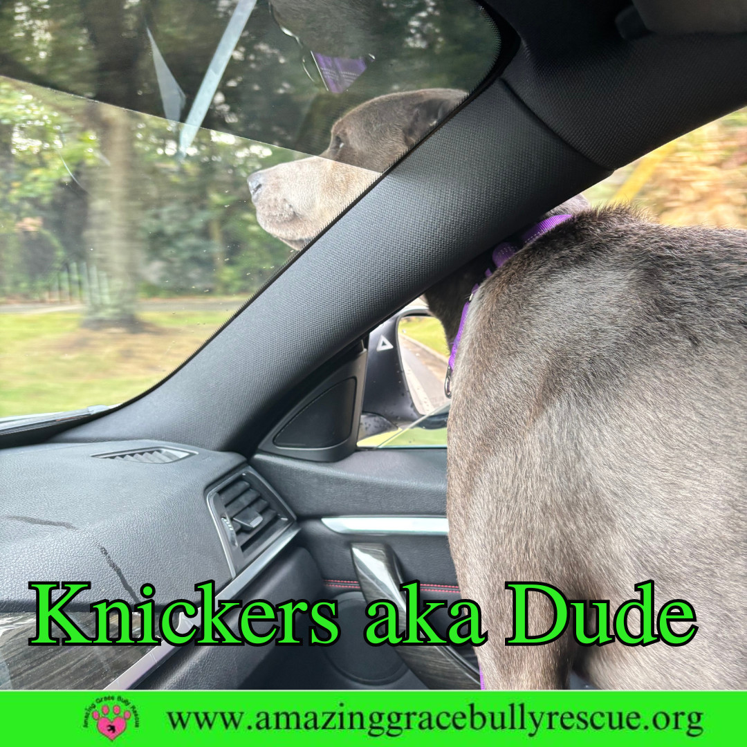 Knickers aka Dude aka "Henry"