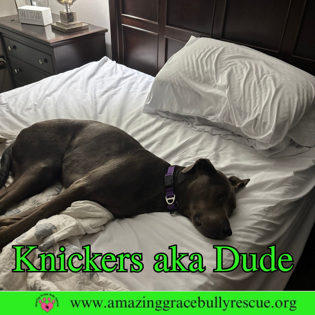 Knickers aka Dude aka "Henry"