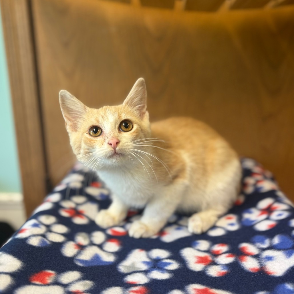 Carson--In Foster