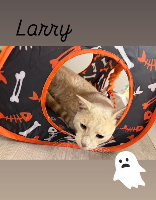 Larry