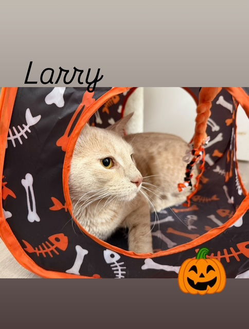Larry