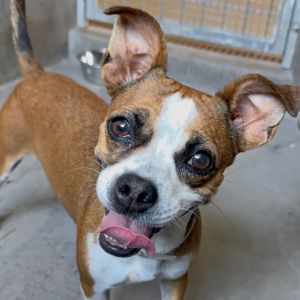Mrs Meade A5723654