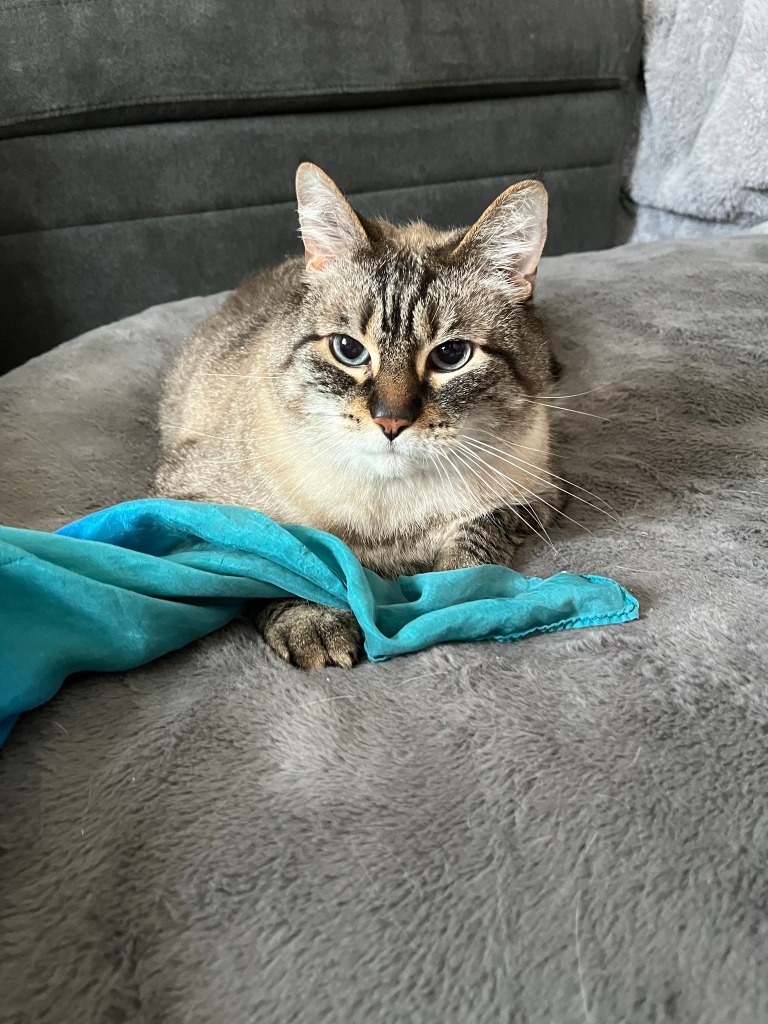 Gus