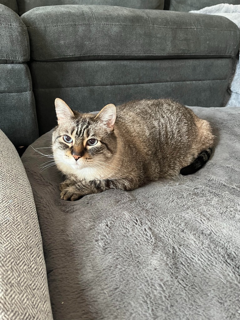 Gus