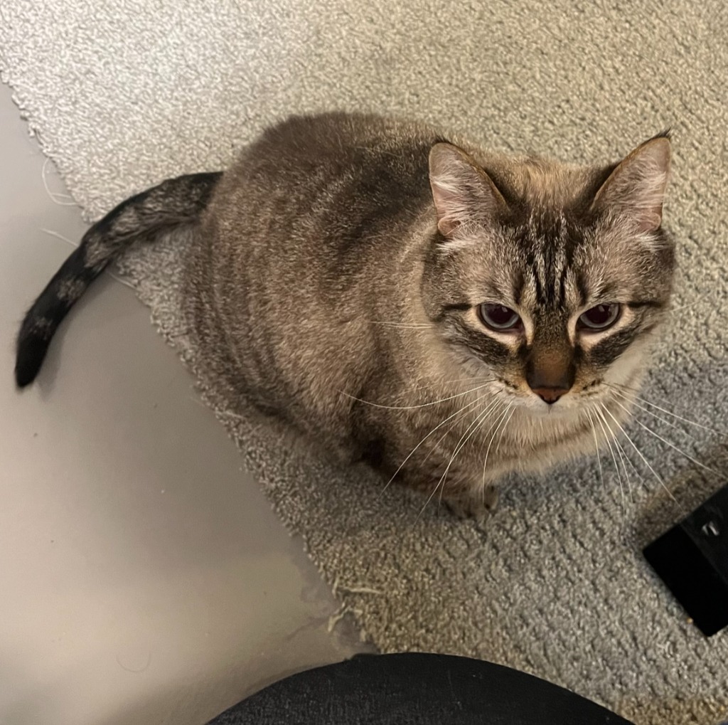 Gus