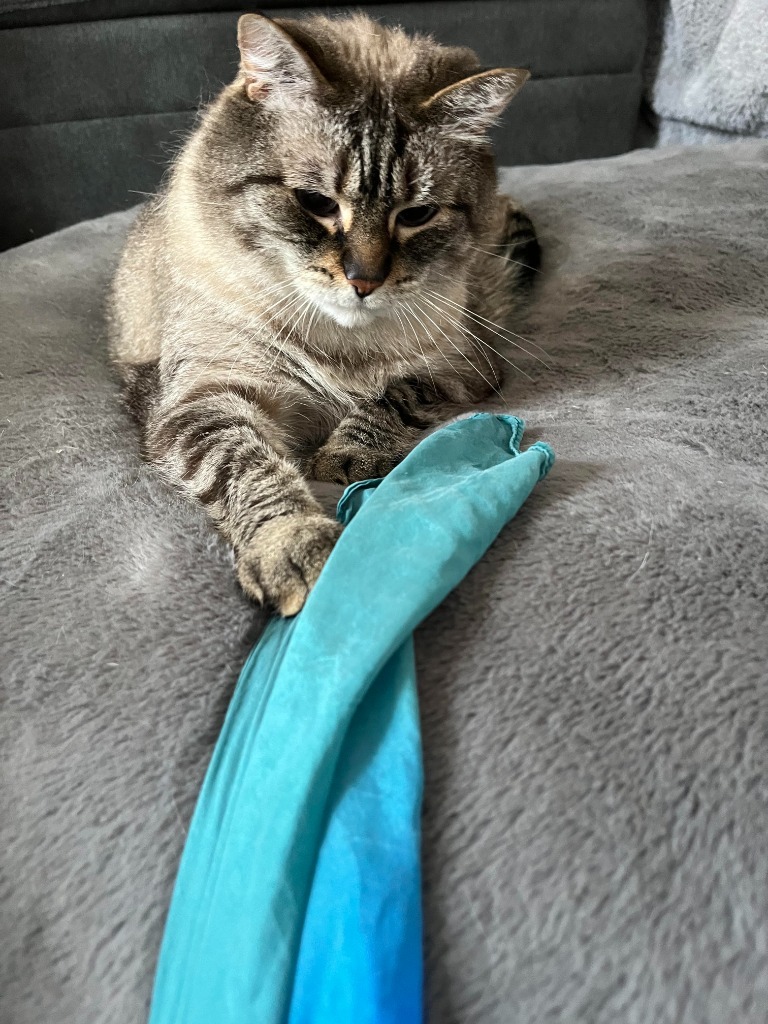 Gus