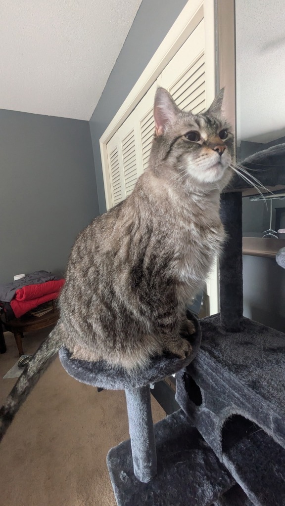 Gus