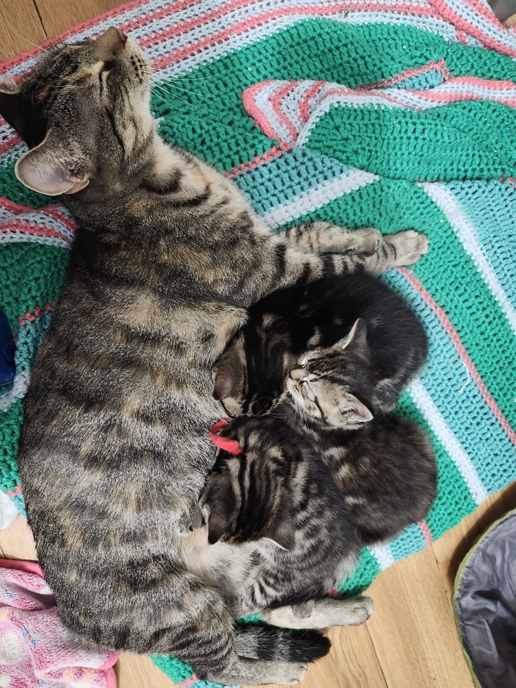 Mama Esther