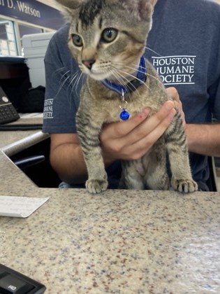 LOVE Petco C