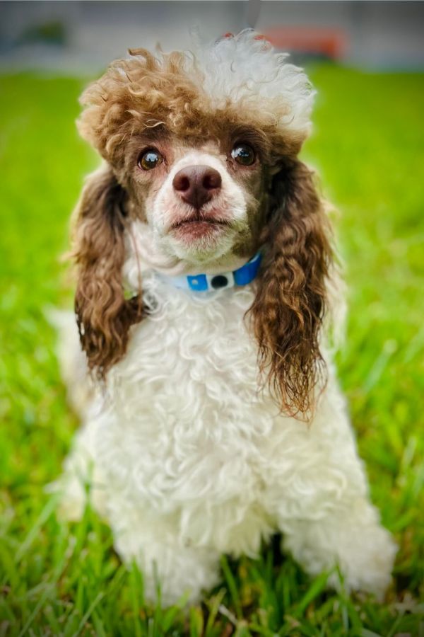 Harry Sep thumbnail 2