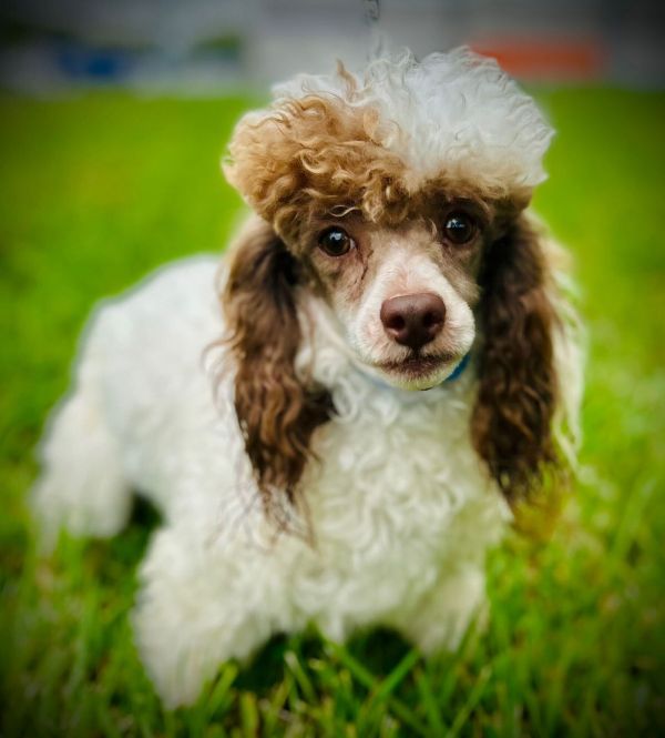 Harry Sep thumbnail 3