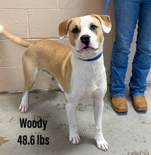 Woody