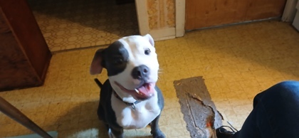 Precious