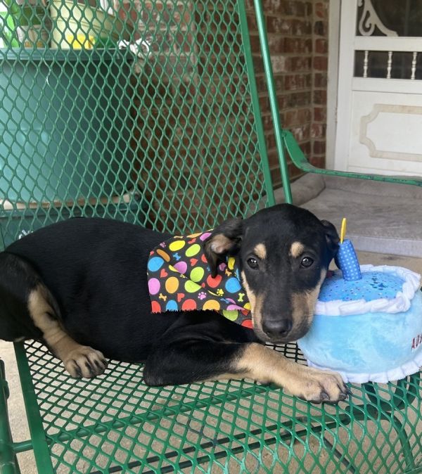 Mera  M Litter thumbnail 2