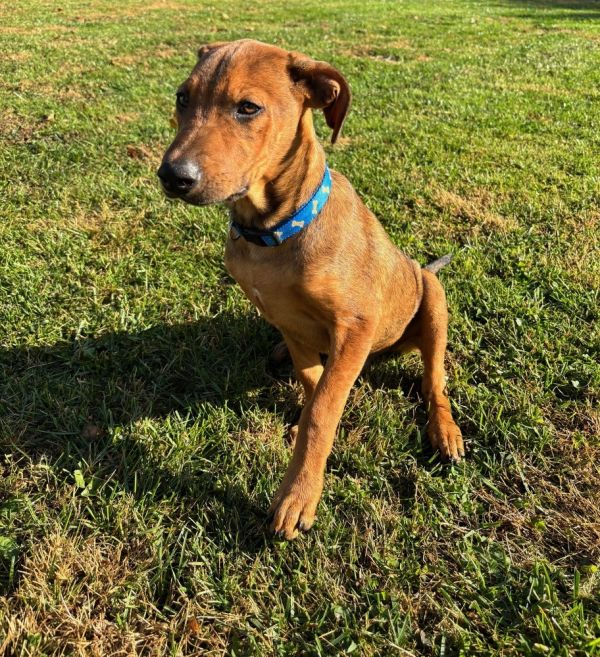 Magnum  M Litter thumbnail 2