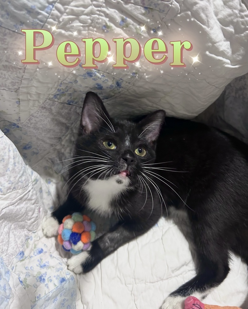 Pepper