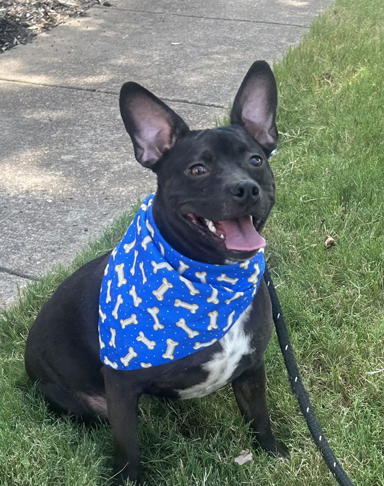 Baxter