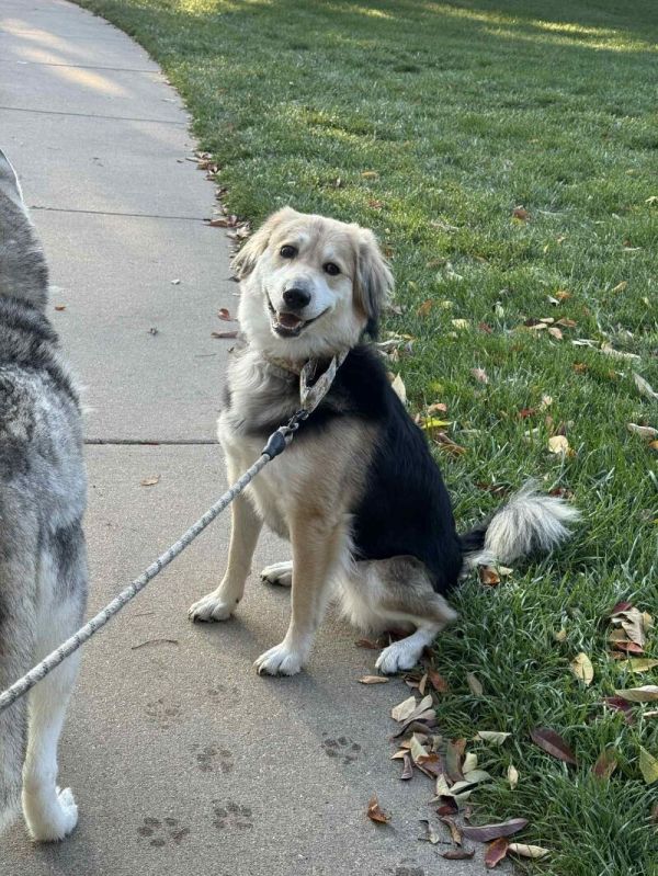 Emily