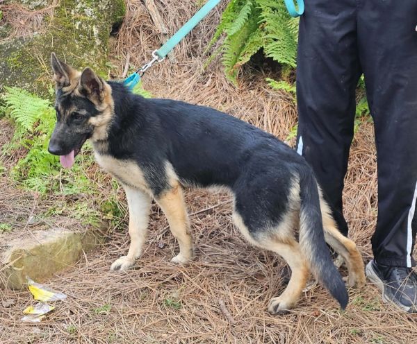 Gretchen thumbnail 2