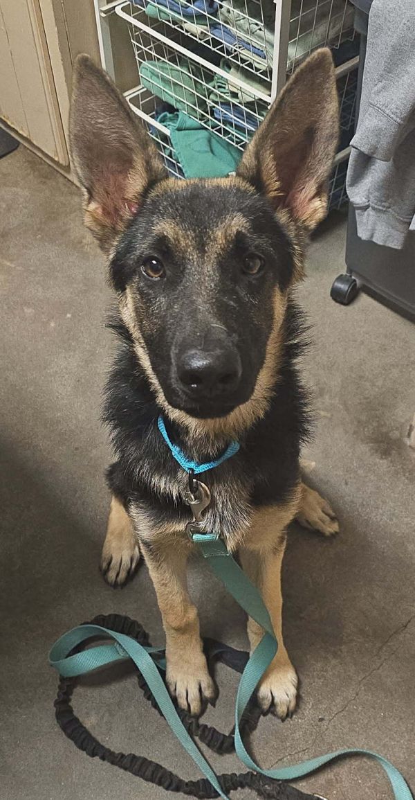 Gretchen thumbnail 3