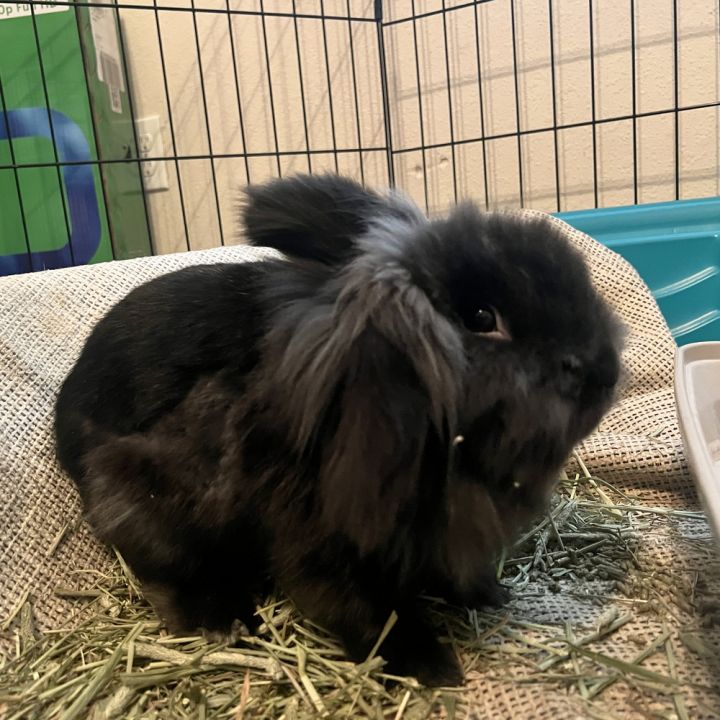 Ricky Baker and Kody 3