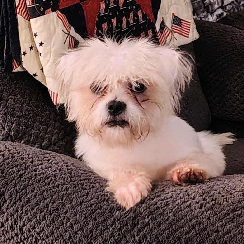 NY Yeti (Foster in Pawling)