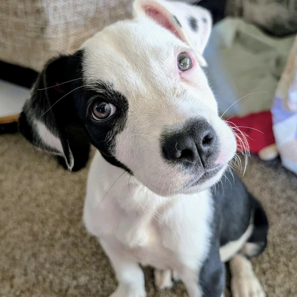 Maggie