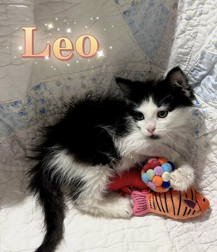 Leo