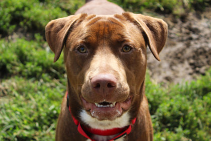 Copper