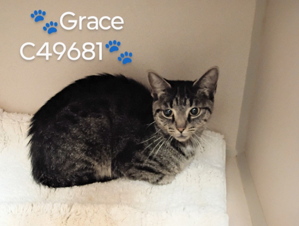 Grace