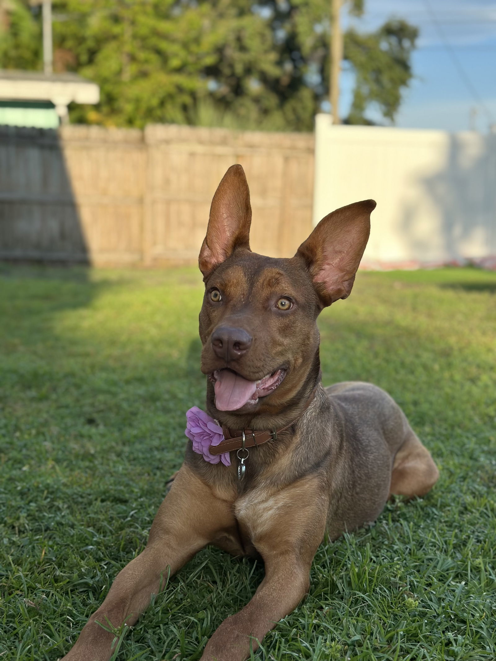 Zira