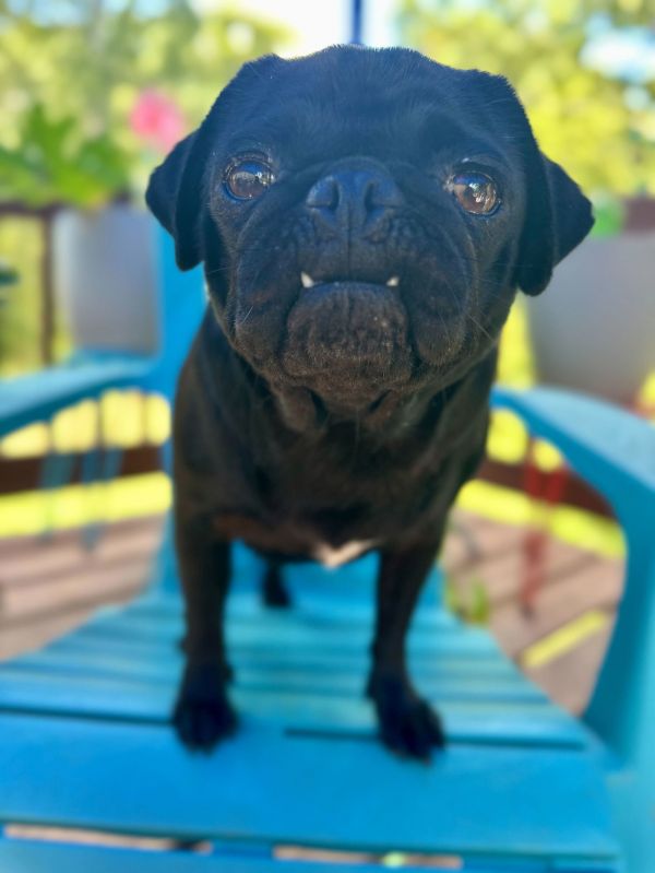 Wednesday Mar thumbnail 2